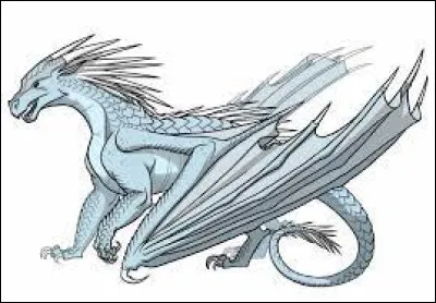 Quel est le nom de ce dragon ?