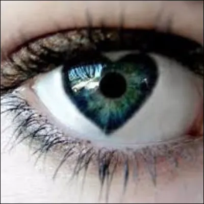 Y a-t-il des contacts visuels entre vous ?