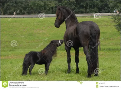 Quelle est sa hauteur ?