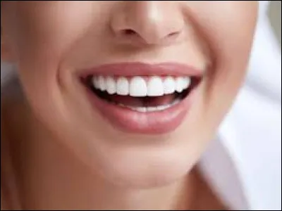 Quel animal a le plus de dents ?