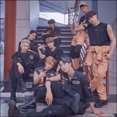 Quelle est la chanson qui n'appartient pas à Stray Kids ?