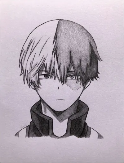 De quelles couleurs ses cheveux sont-ils ?