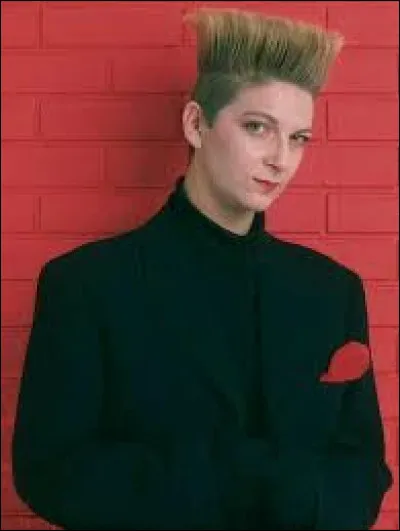 Cette chanson fut classée à la 5e place.
Qui a chanté "Voyage, voyage" ?