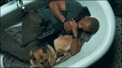 De quel film vient cette image ?