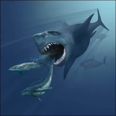 Quel était le nom de ce requin préhistorique ?