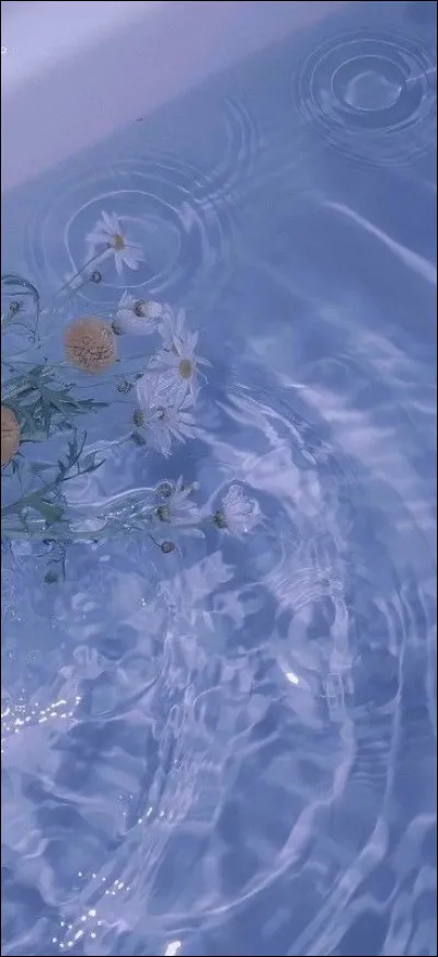 Quel album as-tu ou aimerais-tu avoir ?