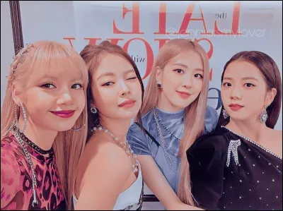 Quel rôle aimerais-tu avoir dans un groupe de K-pop ? (1/2)