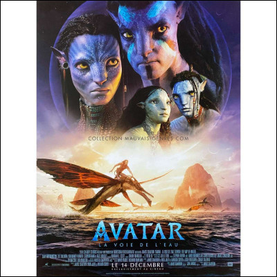 Quel est le réalisateur du film "Avatar : La Voie de l'eau" ?