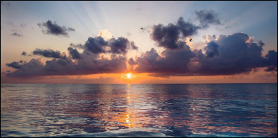 De quel pays parle-t-on lorsque l'on dit : le "Pays du Soleil levant" ?