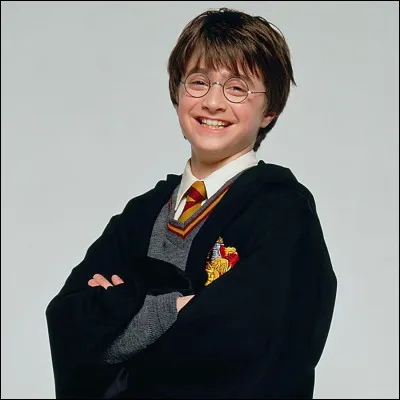 Qui dit à Harry Potter que c'est un sorcier ?
