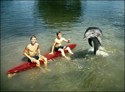 Comment s'appellent les deux enfants amis de "Flipper le dauphin" dans la célèbre série  ?