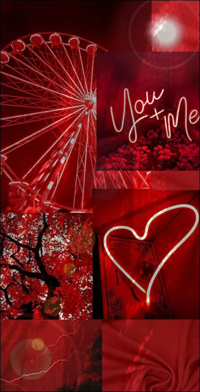 Quelle est la couleur dominante de cette image ?