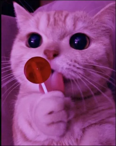 Comment dit-on "bon après-midi" en anglais ?