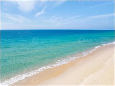 Comment s'appelle la "peste" que Sacha trouve au concours régional ?