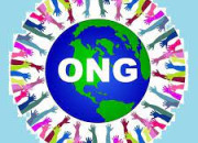 Quiz Culture G - N50 | Les ONG et leur journe mondiale