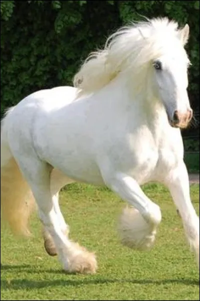 Quelle est cette robe ?