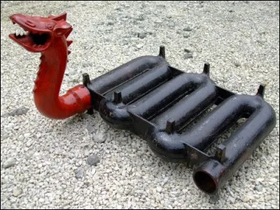 De quel animal arassade est-il le nom vulgaire ?