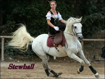 Quel âge avait Hugues Aufray quand Stewball était son idole ?