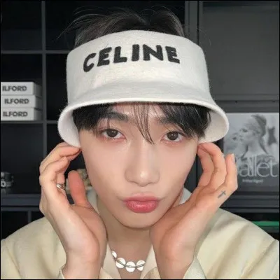 Quelle est la marque préférée de Chanhee ?