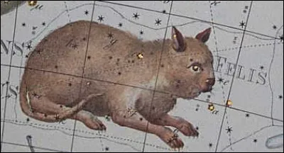 La constellation du Chat n'est pas à côté de la constellation de...