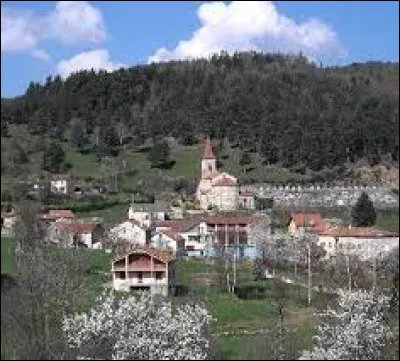 Commune d'Auvergne-Rhône-Alpes, dans l'arrondissement de Brioude, Saint-Préjet-d'Allier se situe dans le département ...