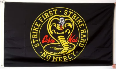 Pourquoi John Kreese s'approprie le dojo Cobra Kai ?