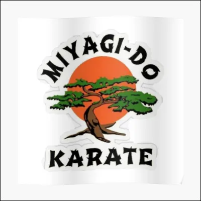 Qui a saccagé le dojo Miyagi-Do ?