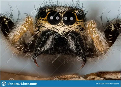 Et celle-là, l'aimes-tu ?