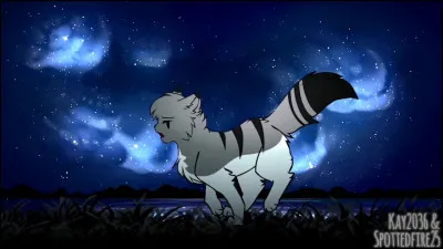 Imagine : un jour ton chef te demande d'aller chasser pour un des anciens du clan.
Acceptes-tu d'aller chasser ?