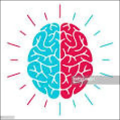 Te considères-tu comme une personne intelligente ?