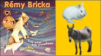 C�est la vie en couleur tiens, voil&agrave; le marchand de ballons. Quel animal accompagne toujours R&eacute;my Bricka ?