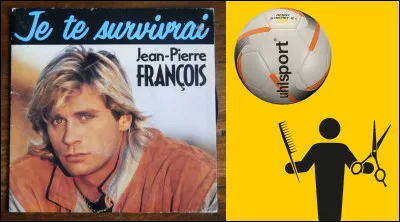 Dans des miroirs chinois, dans le bleu des photos, dans le regard d�un chat, dans les ailes d�un oiseau, dans la force d�un arbre, dans la couleur de l�eau, je&nbsp;te survivrai. Quel &eacute;tait l'ancien m&eacute;tier de Jean-Pierre Fran&ccedil;ois ?