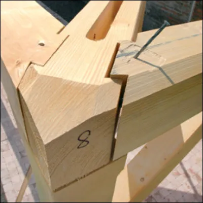 Il existe une petite surface formée par l'arête abattue d'une pièce et qui partage son nom avec une partie de l'anatomie de la tête du cheval.