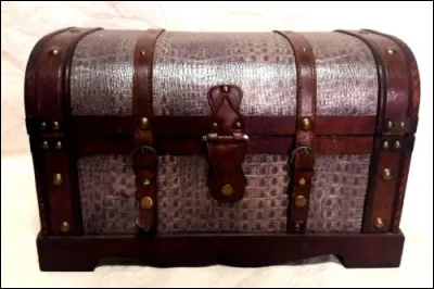 Complétez : Je me suis achetée une nouvelle...