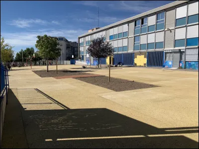 Complétez : Les enfants jouent au ballon dans la ... de récréation.