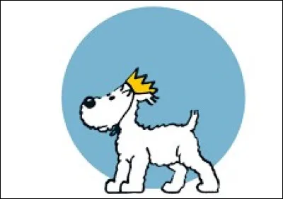 Quel est cet album digne de la tragédie classique ?