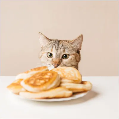 Que fais-tu si le tas de gibier est vide ?