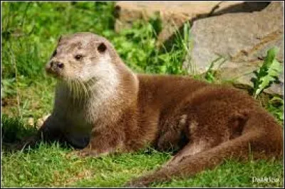 Quelle est la taille de son territoire ?