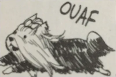 Comment s’appelle le chien de Becky ?