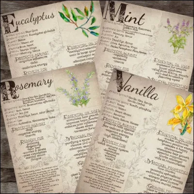 Qui a placé la correspondance d'Orfeo dans la chambre de Frédéric et pourquoi ?