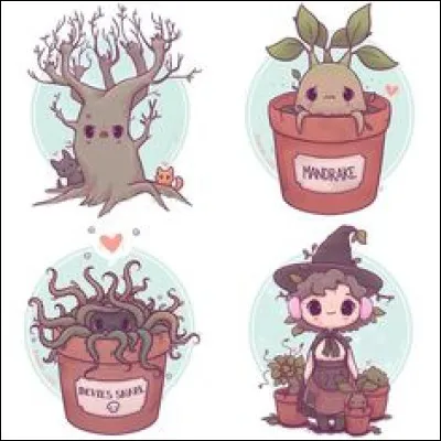 Quel cours as-tu hâte de commencer ?