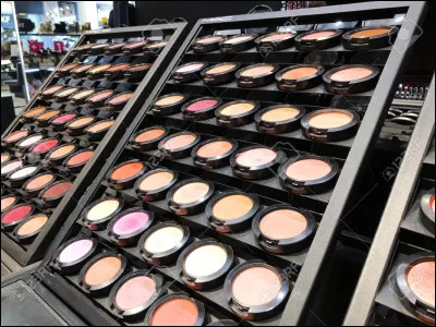 Si je te proposais d'acheter ce que tu veux dans un magasin de cosmétiques, tu choisirais...