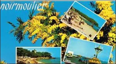 Comment est surnommée l'île de Noirmoutier ?