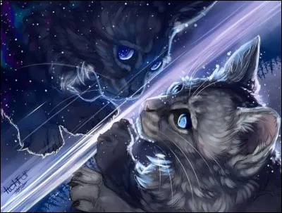 Quel personnage a prononcé : 

« Et moi, je ne t'ai jamais oublié. Même après toutes ces lunes passées depuis notre dernière rencontre. Va en paix, retourne à ton clan. » ?