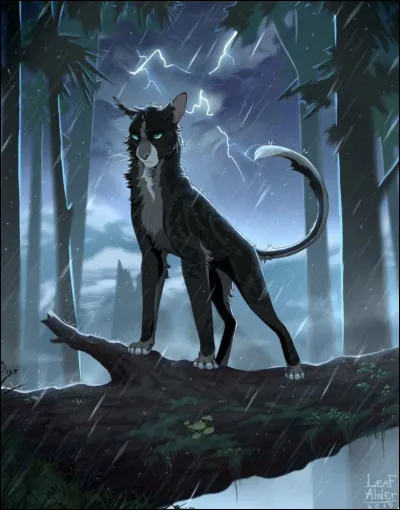 Quel chef sest écrié : 

« Comment osez-vous me juger ? Avez-vous déjà dirigé un clan ? Avez-vous déjà tenu le destin de tant de chats entre vos pattes ? Avez-vous dû affronter le feu, les inondations, le poison, la famine, les prédateurs, les Bipèdes, et tout cela en quelques saisons ? Les chatons et les anciens mouraient sous mes yeux. Aurais-je dû les regarder dépérir sans rien faire ? » ?