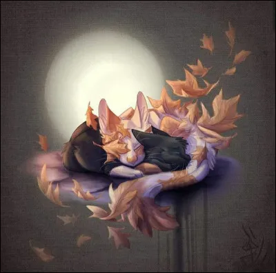 Quel chat a énoncé cette tirade : 

« Les étoiles contemplent cet endroit depuis d'innombrables saisons. La pierre sous mes pattes se dresse là depuis toujours. Ce grand rocher n'a pas jailli du sol pour que je m'y assoie. Ces arbres n'ont pas poussé pour vous donner un abri. L'herbe n'a pas recouvert les collines pour adoucir nos pas. » ?