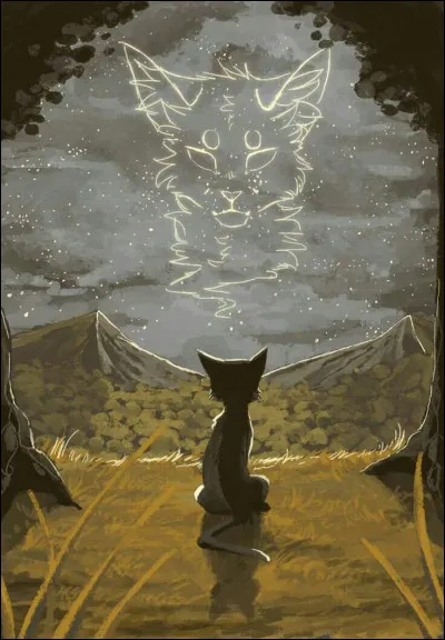 Quel personnage a dit : 

« Je ne sais pas pourquoi vous êtes venus me raconter ces mensonges. Rentrez chez vous, et ne revenez jamais. Pourquoi me soucierais-je du Clan du Tonnerre ? Vous n'êtes rien pour moi. Rien du tout ! » ?