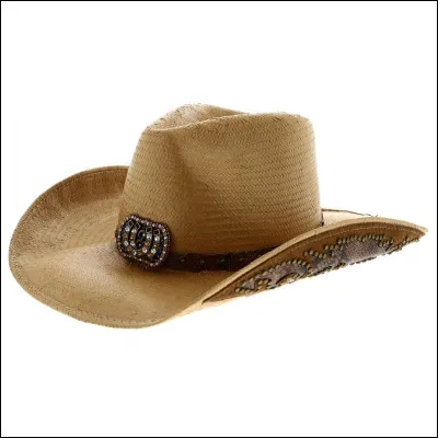 Qui a donné son chapeau de cowboy en plein concert ?