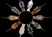 Quiz Quiz de rapidit : les couleurs