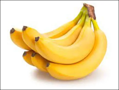 Tiens, mais n'est-ce pas ce que mangent principalement les singes ? Ce sont des...